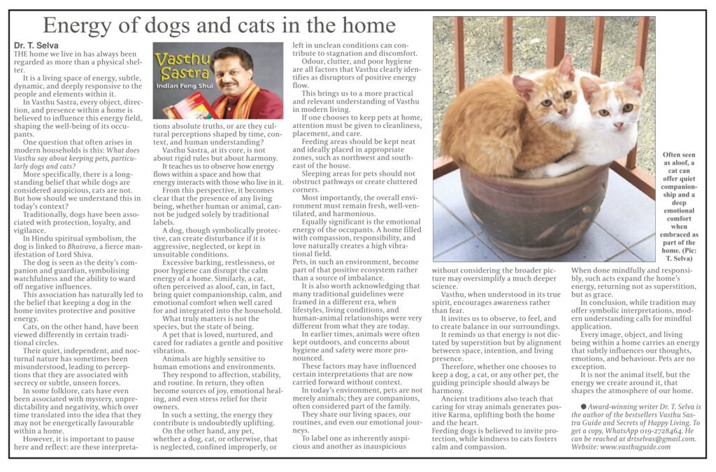 Is It Auspicious to Have a Cat in Your Home?